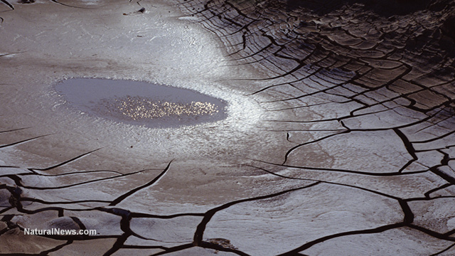 Cracked-Earth-Drought-Dry-Lake-River-Puddle