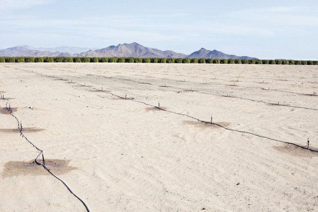 feat_drought11__01__970-630x420