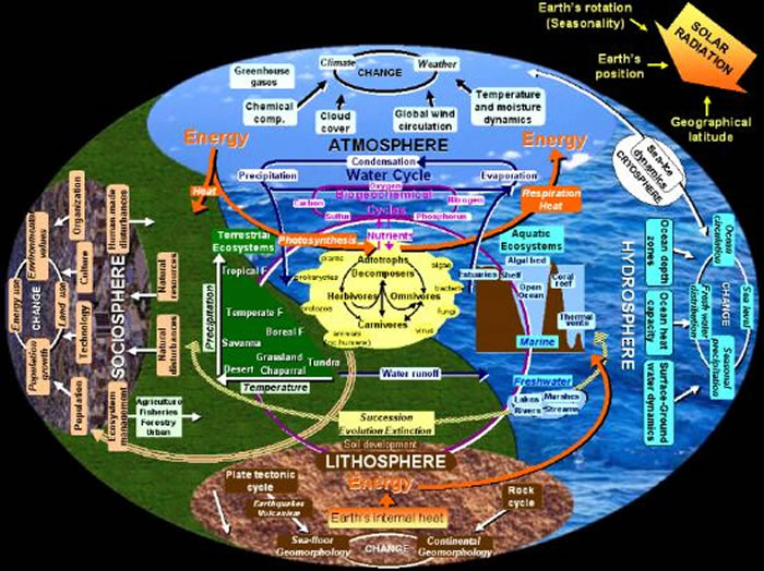 Words Essay on Global Warming: Causes, Effects and