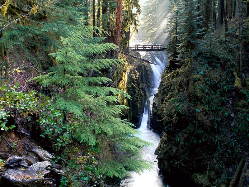 Bridge Over Sol Duc Falls, Olympic National Park.jpg