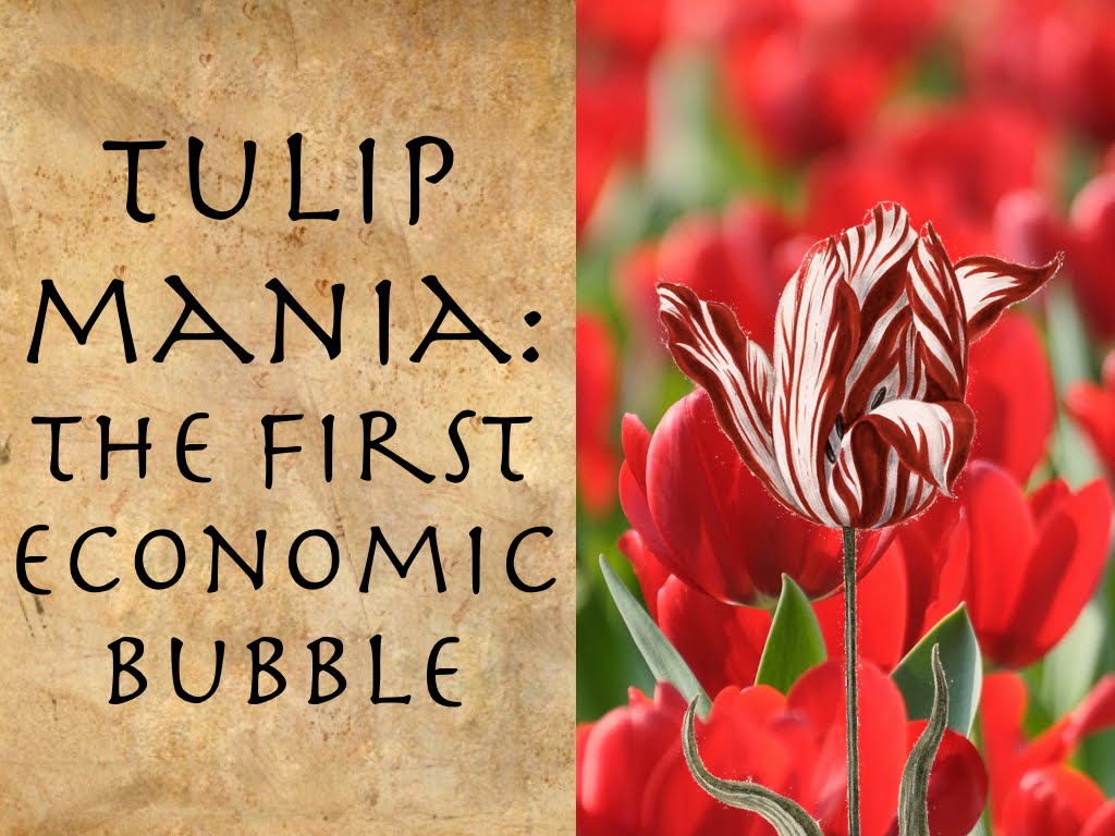 bitcoin bubble tulip mania