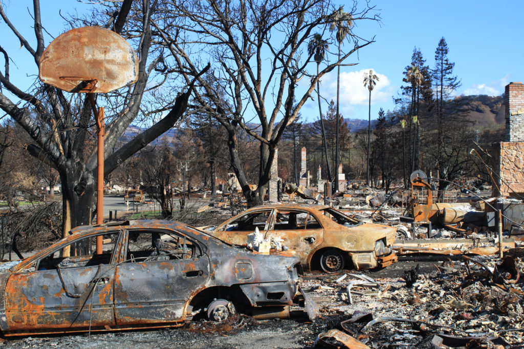 How did these vehicles burn up in the Cali. fires when trees nearby ...